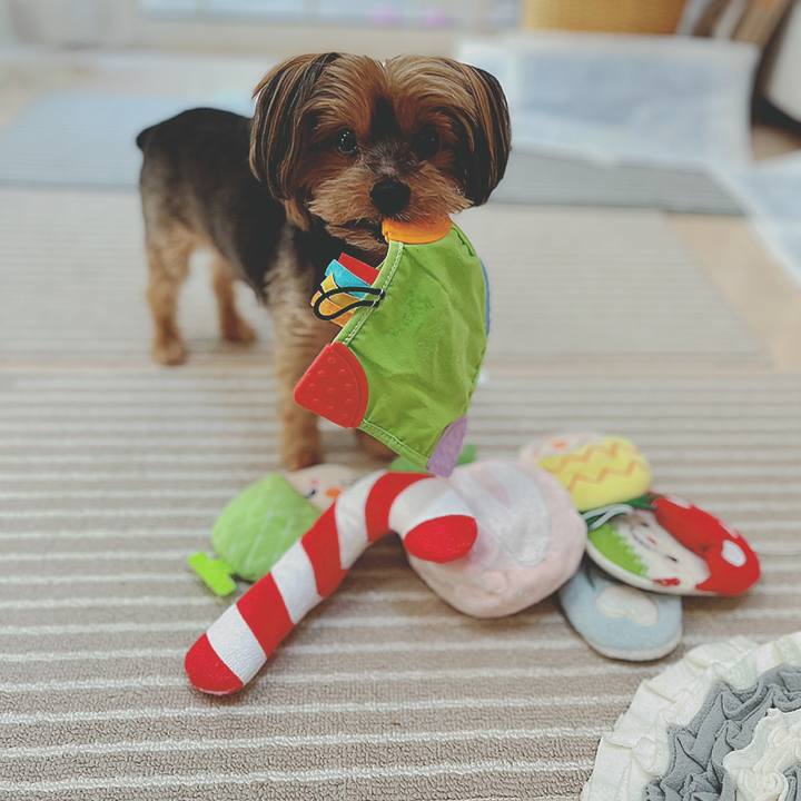 7dc70932 b242 4a0f 8c00 c8cda1ee0da6 1658128010164