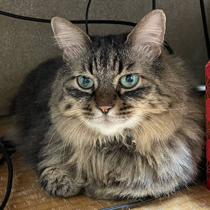 7dc77c68 8e7f 45d2 b5fc 3a669e30e27b 1753937879077