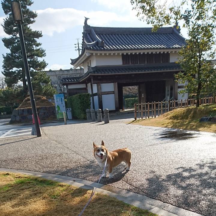 7dc782bf 1f10 425d adb5 2e0a53db0ee2 1578460688262