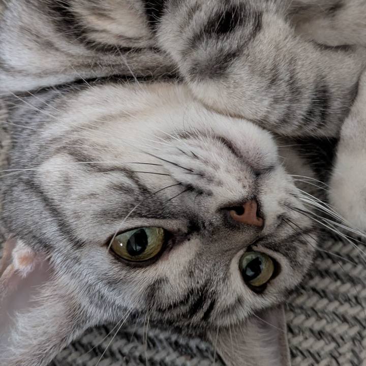 7dc78600 2c06 4197 b000 2b1e02b96972 1746354737055