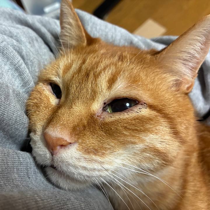 7dc7bd27 d83a 423c aec4 3de7af8c6c61 1743689089725