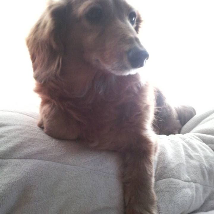 7dc80027 da91 48c3 9e33 722dc5f80f03 1550948686013