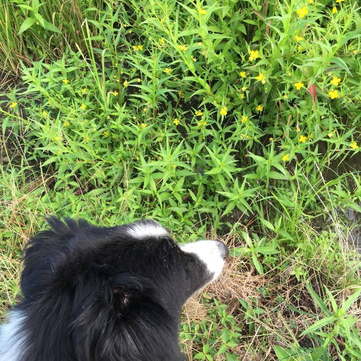 7dc866e4 2c11 4529 926e 461e7ccff8d6 1534807680317