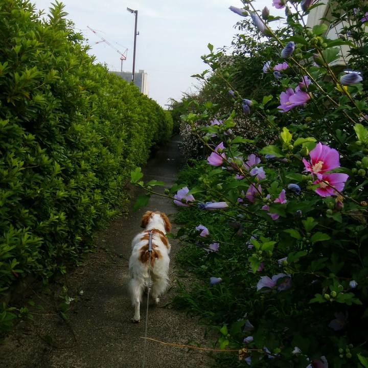 7dc88e74 0ec2 4de1 a785 b94170761730 1562585066375