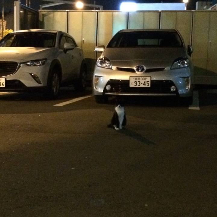 7dc8946a cb10 49de 8df1 f06ebf101706 1546877235099