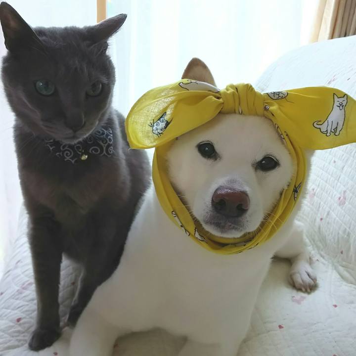 7dc89dc4 f298 4f70 b809 6738516414e0 1591323301917