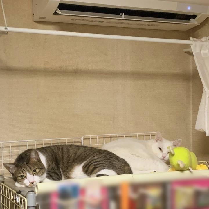 7dc8d90f 970e 4b35 8cfb de061b0f967d 1753930043059