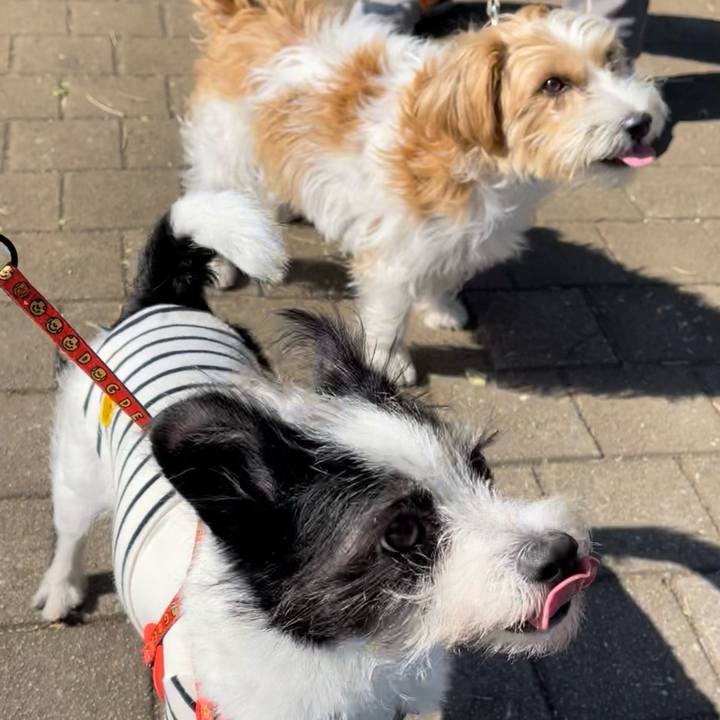 7dc91a57 bdd1 4487 8880 349013613c84 1667715073995