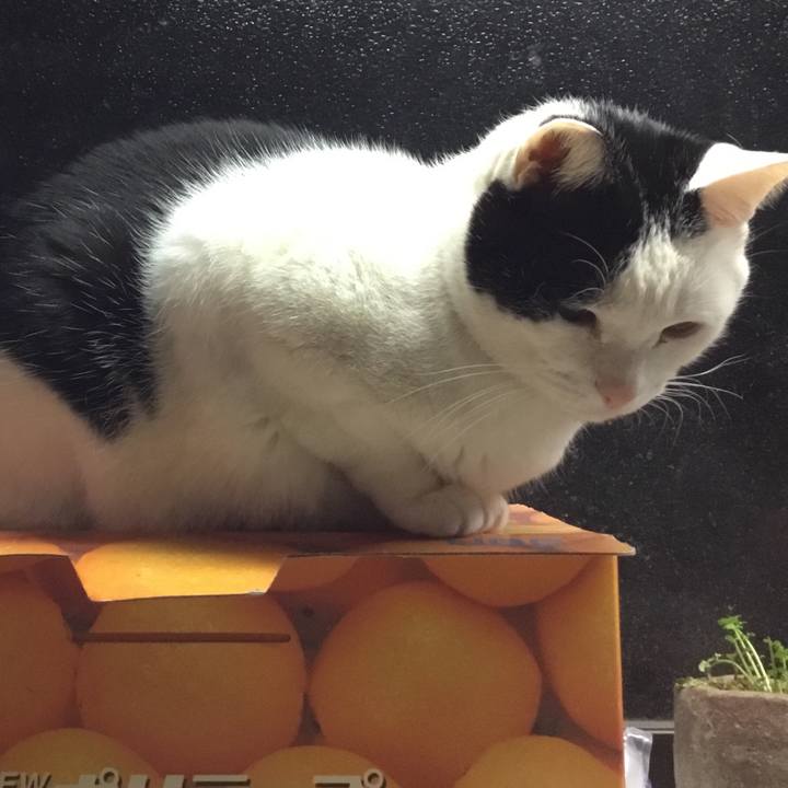 7dc92aa7 6688 4ff3 8039 69e4780e3a8e 1512784980529