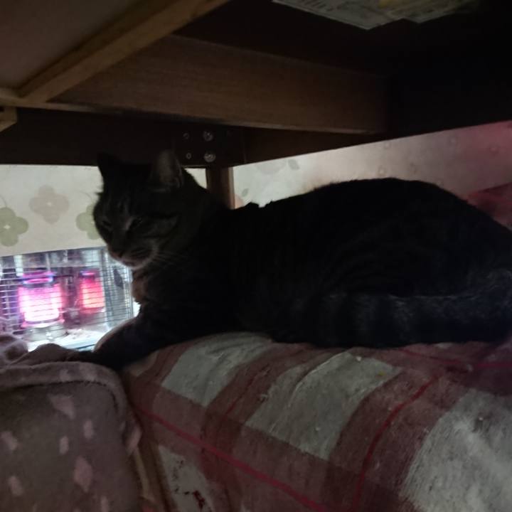 7dc9697a d099 4371 b19c a30a1cbd5431 1642970435570