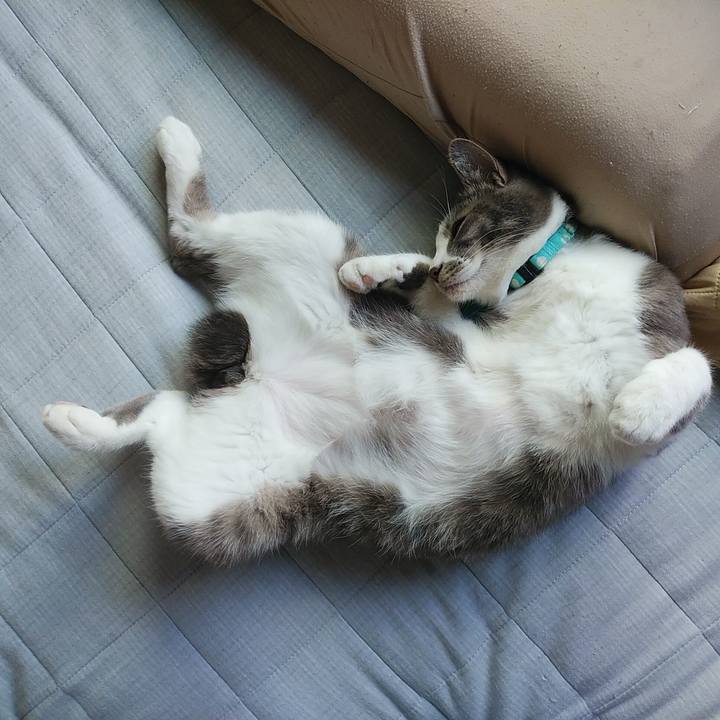 7dc97782 7cd7 4f29 b876 68c9b6079a32 1590289435279