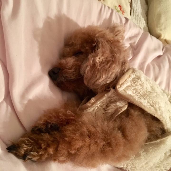 7dc9784d 6dd1 4b5b a14f 5c63396a0ad0 1553958197318