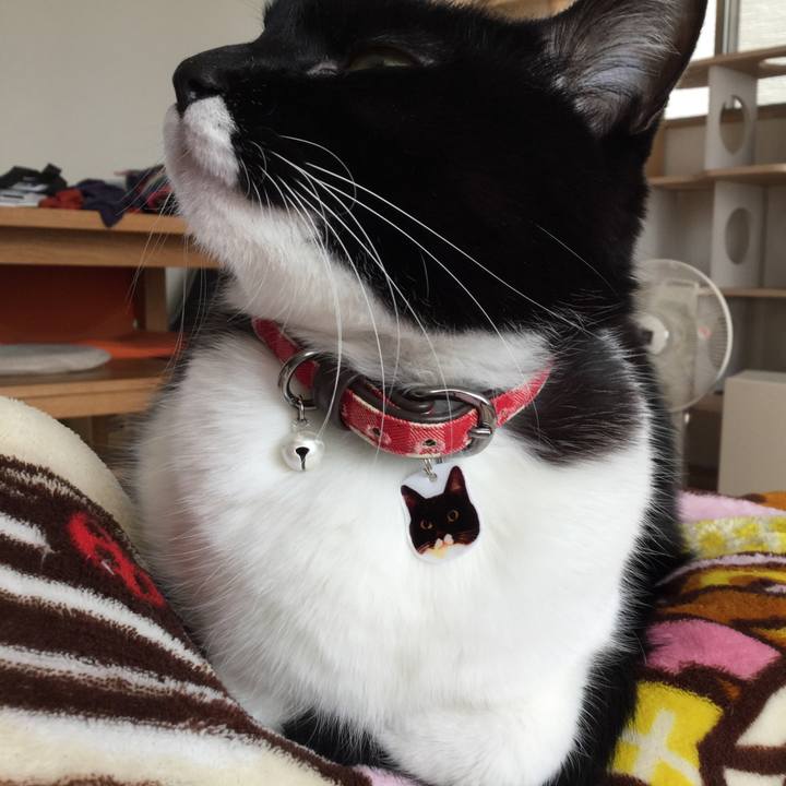 7dc98a49 b749 4945 b8c6 86babf3e23cb 1516933242373