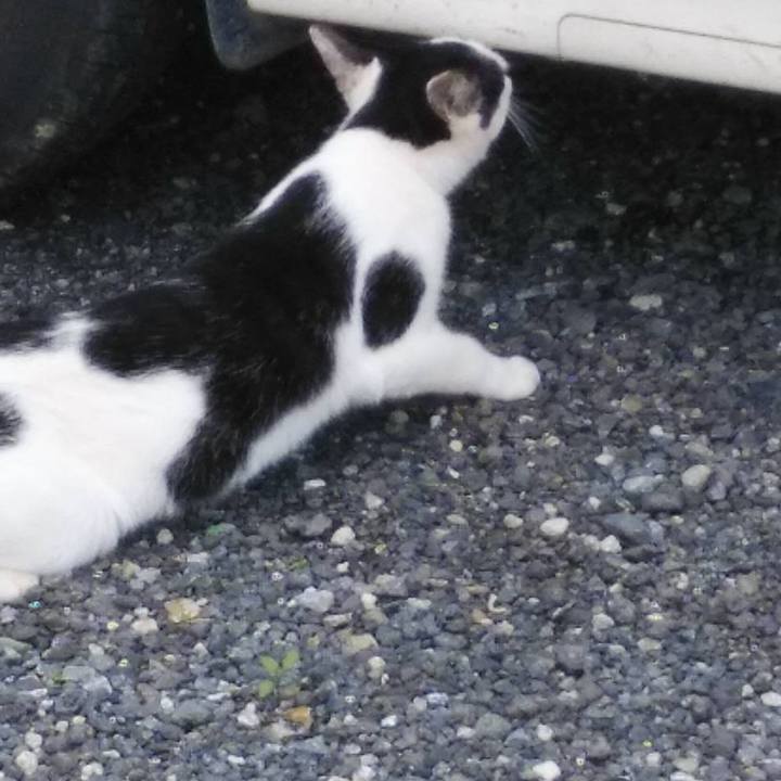 7dc9ac37 f45a 4340 b65f a55767bbe6ff 1591073875550