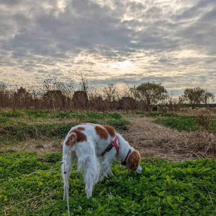 7dc9b847 aecf 4a5e 84c7 e2afc71f237f 1639652592522