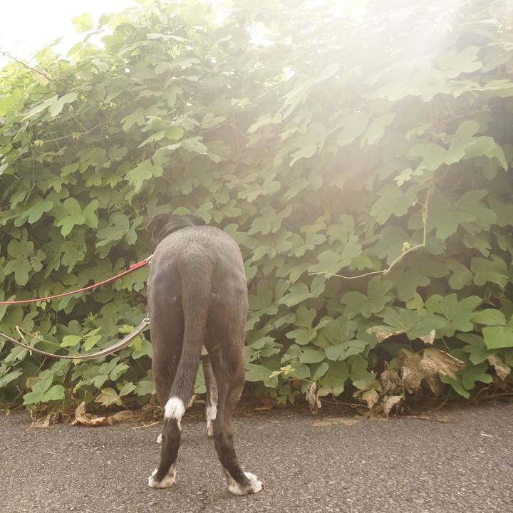 7dc9bbb7 ae0e 4e33 ad31 486a033ce7b6 1755130100902