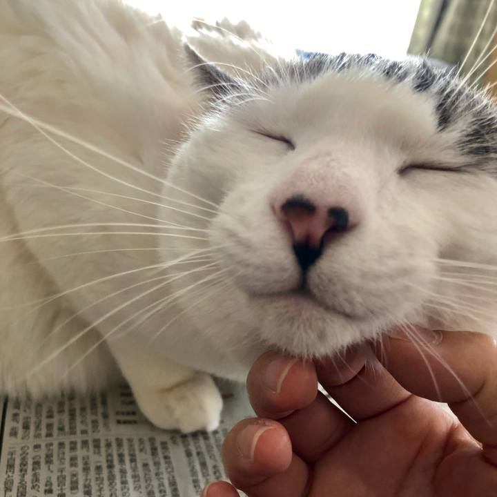 7dc9d4b0 10e9 470b b1b2 5d79c0174058 1614729846342