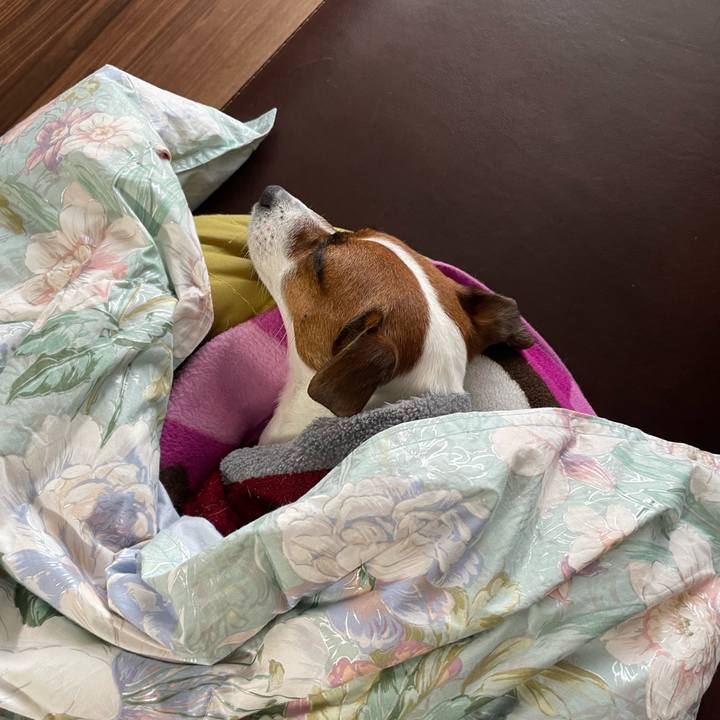 7dca0c2a 159f 4422 a2ea 7765ea03a1b0 1643614050659