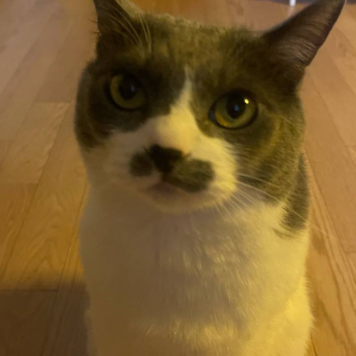 7dca3e45 faea 40b8 a8ca 987923d3b769 1753482723538