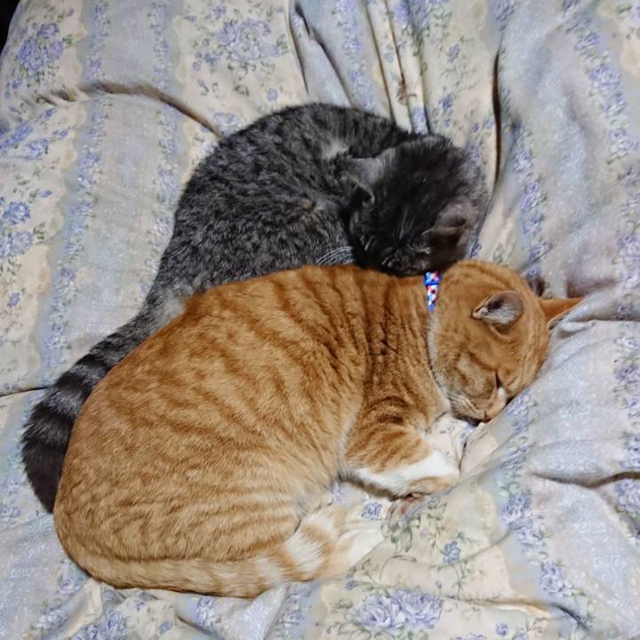 7dca416d 6764 42f4 8d53 d61b8c6c9975 1576669537166