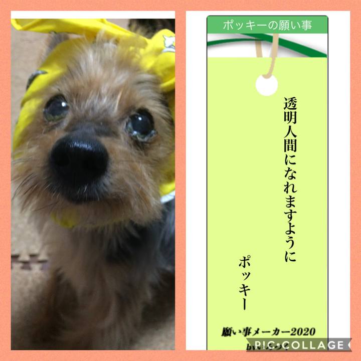 7dca67f6 2c4b 405b 9675 75c4228830e0 1594096530159