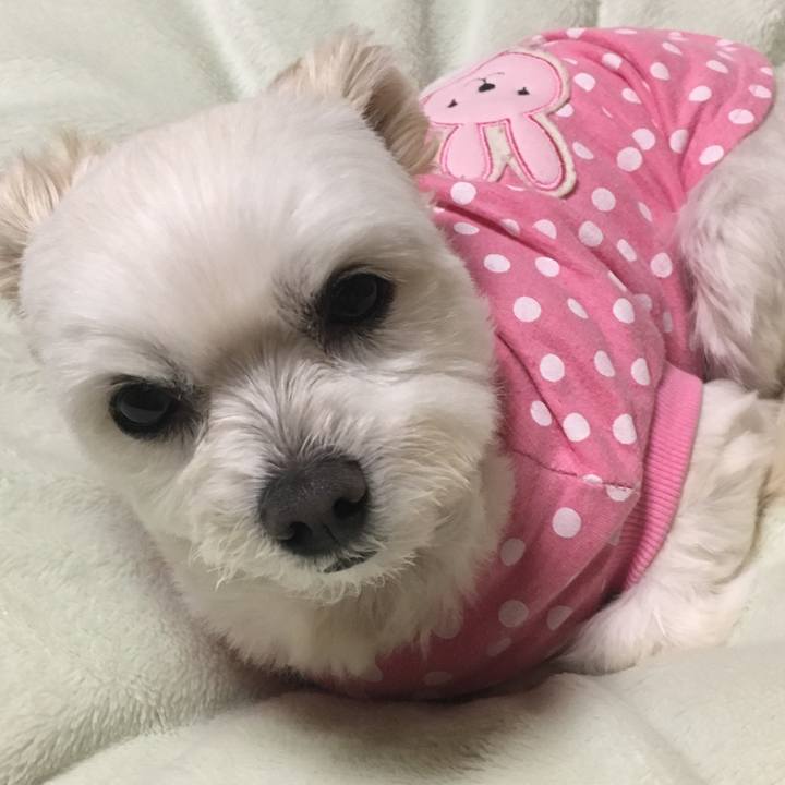 7dca6c92 928c 45e4 b974 41bb441a250d 1551866259511