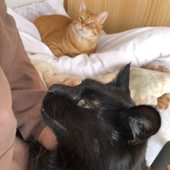 7dca6da2 1fac 4048 805c bc6aebaf9d83 1613877100014