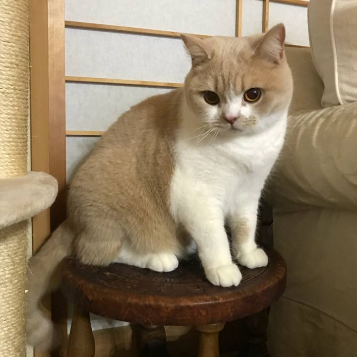 7dcaa037 e864 427c 834b d5aaae75787d 1516065117765