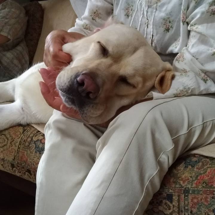 7dcadea4 9811 4004 a004 361d762f913b 1534211958938