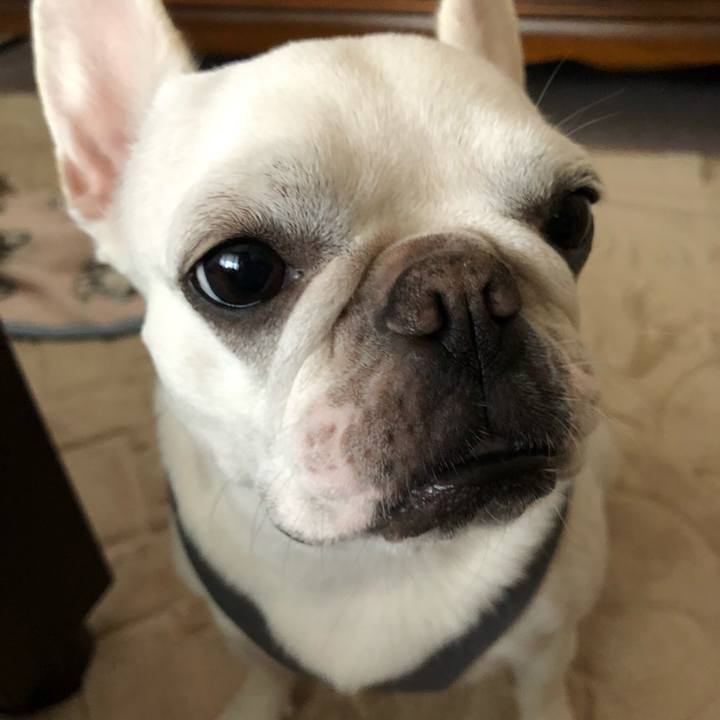 7dcb381f 624f 4398 92d1 4cedd199ef70 1569223148721