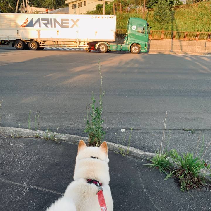 7dcb4527 137d 4dc2 8083 47d898023aa6 1597351647548