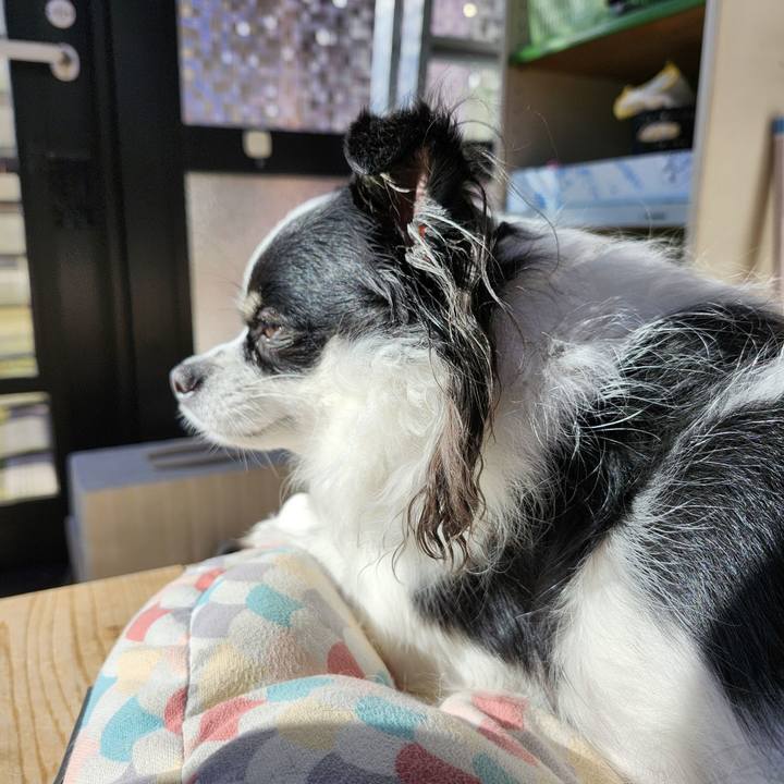 7dcb4954 1ad6 408d b3d4 4941640f92e3 1764999270968