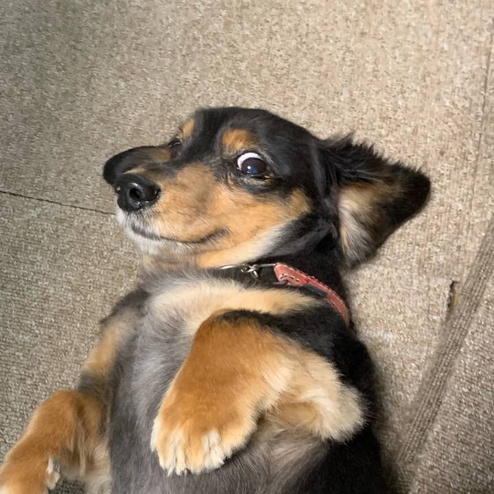 7dcb7973 406a 4a92 9ae6 ed124770dfc0 1572645236826