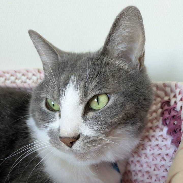 7dcb847b 6def 4577 8a1d 5fe244ff2d9b 1753230077234