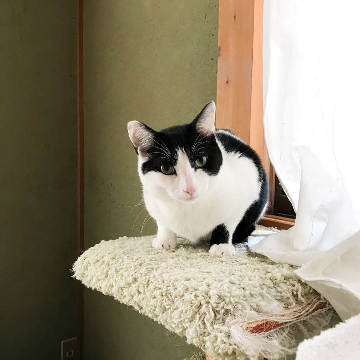 7dcb9720 7c2b 40d1 9b29 1c1a593bd84c 1523112183302