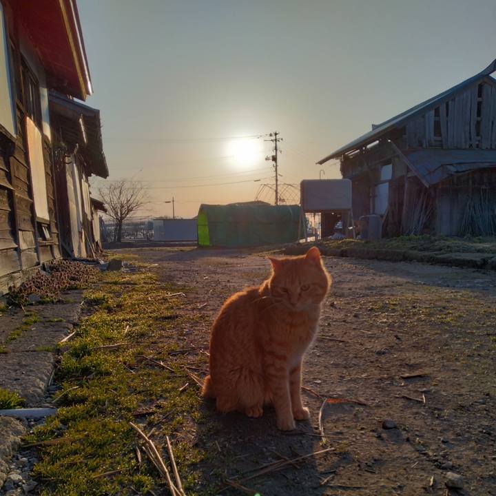 7dcbadff 5709 4e88 a9d5 c08c3a087718 1679436012282