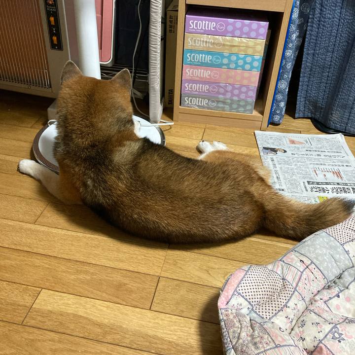 7dcbdade d58b 47b1 9505 e618a686a396 1726530170346