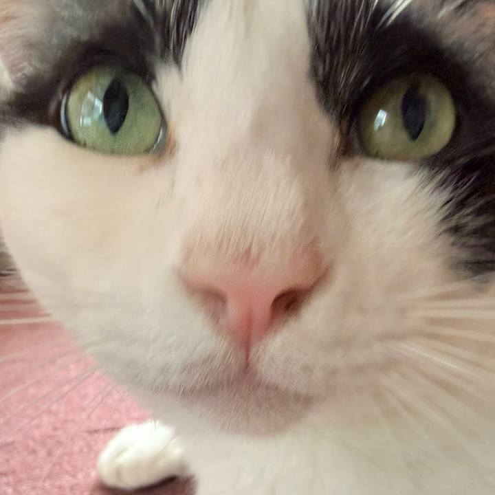 7dcbe35b b40d 465a b224 a5180a7e6393 1759542561836