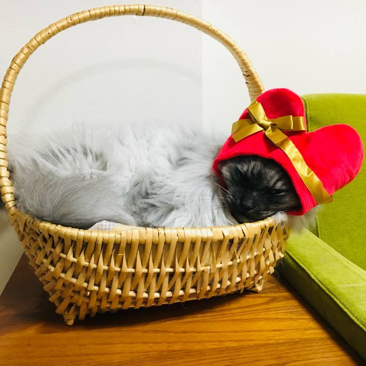 7dcbfdfb 2e09 4483 9baf 848c857f644e 1739495320508