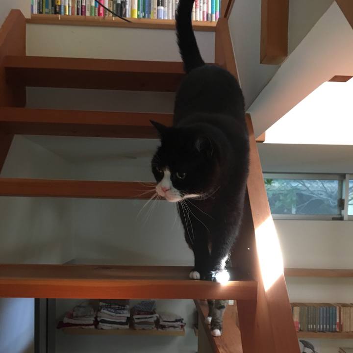 7dcc1c60 424a 442c 9372 72977ace1e69 1530232172283