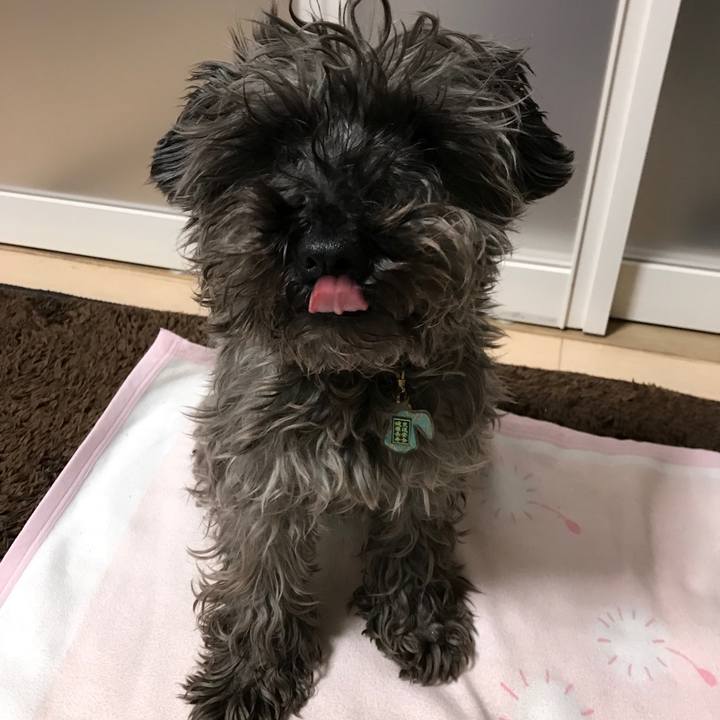 7dcc3006 26fe 4ab7 abec c98993e3bb7c 1523537282938