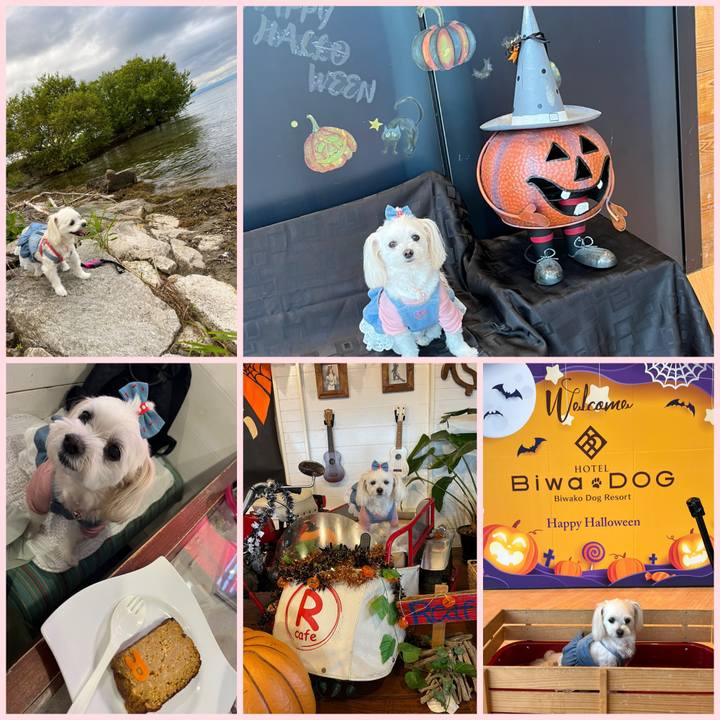 7dcc491d 3b19 41cd 81e1 aee41f73394b 1696407438432