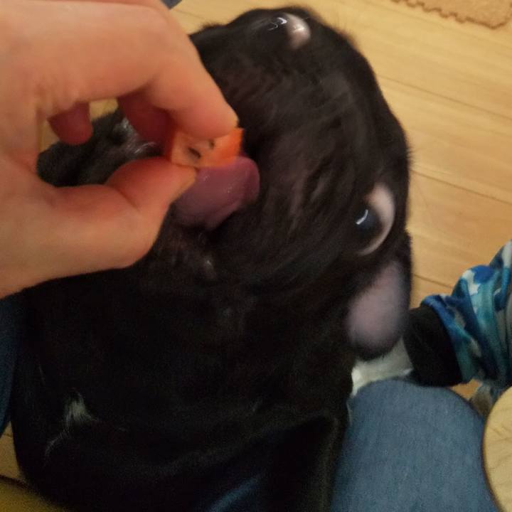 7dcc7963 10f3 4302 af9e 2839af0a836b 1596980239721