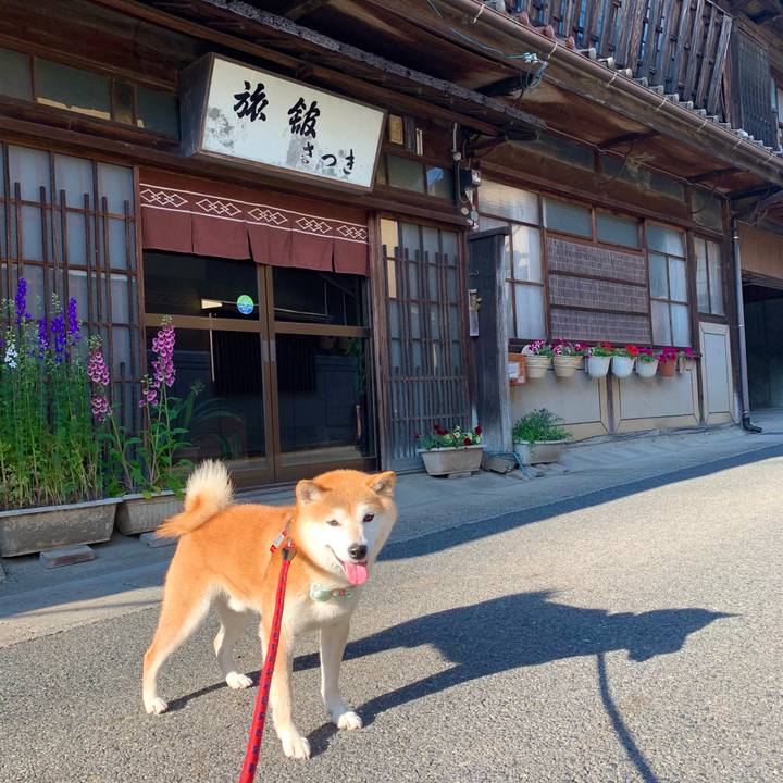 7dcc9a34 567d 4391 bcb2 7e57b177d035 1653294295741