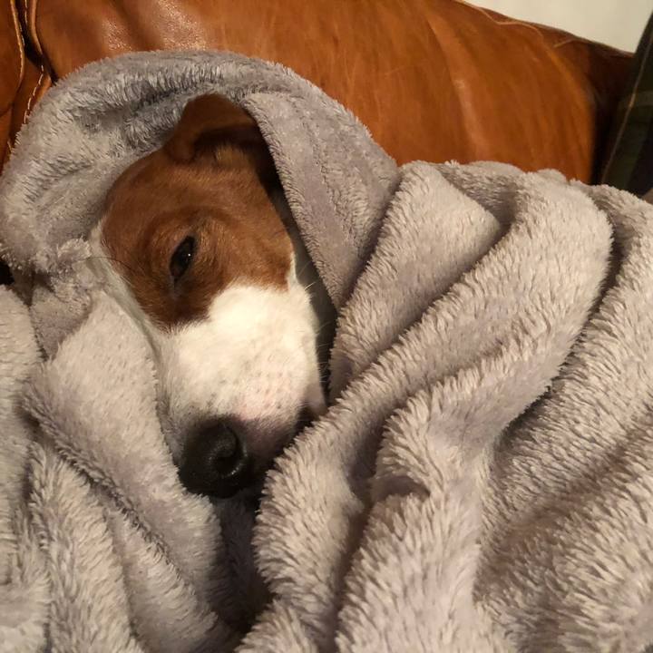 7dcca7ed 66d7 4d67 bfc7 28994353e873 1547710937875