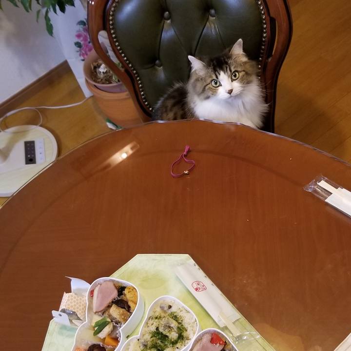 7dccb16a 635a 4a03 ad39 094bbb5d9316 1544450413870