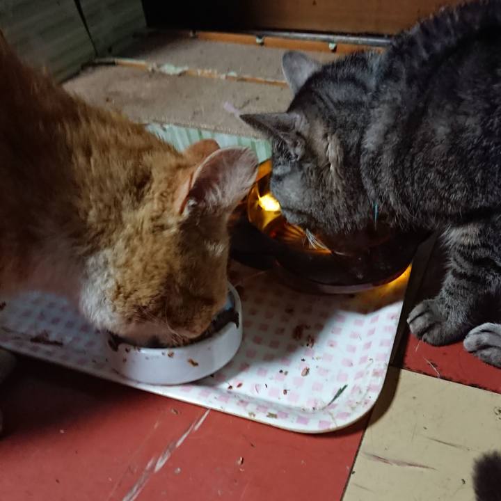 7dccb447 0cef 49cf a41e c9d8e46917c1 1554367962959