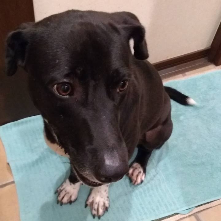 7dcd0777 c773 4d04 bce2 25284bf7522a 1603533698131