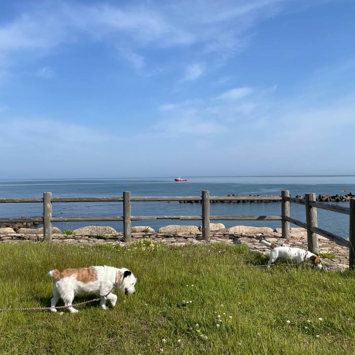 7dcd8fd1 07b4 4bc8 8ef7 4d7720e98499 1653870904449