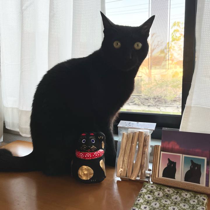 7dcd90f6 5ddc 4439 ad18 dbbd32c0b109 1681034842259